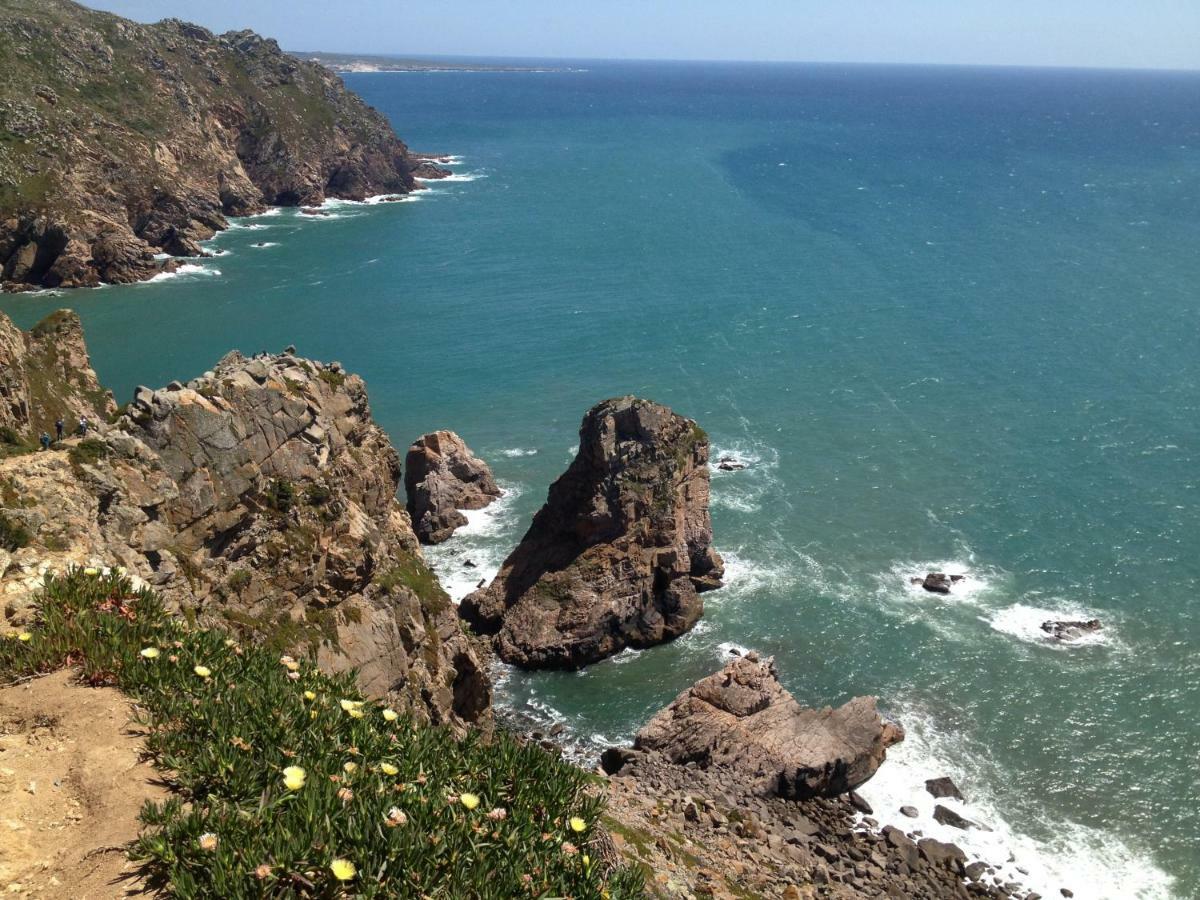 Sintra/Colares Beach House With Mountain View Villa Exteriör bild